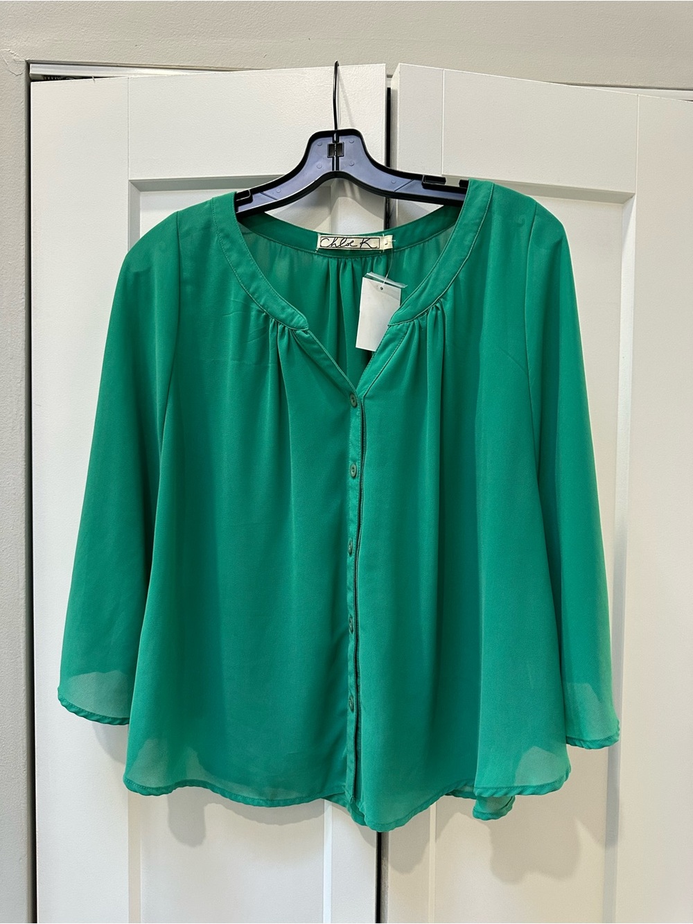 Chloe K Sheer Button-Front Blouse
